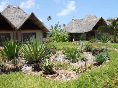 Fruit & Spice Wellness Resort Zanzibar - Executive Junior Suite