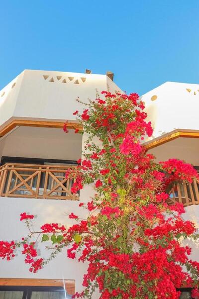 Ghazala Gardens - Standard Double or Twin Room