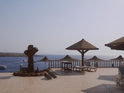 Grand Halomy resort, , Египет