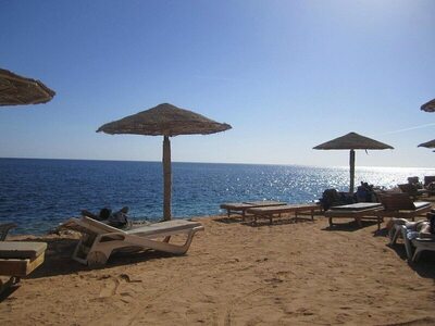 Grand Halomy resort, , Египет