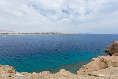 Grand Halomy resort, , Египет