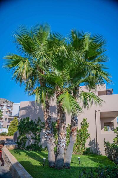 Grand Hotel Holiday Resort, Ираклион, Гърция