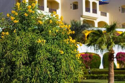 Grand Oasis Resort, , Египет