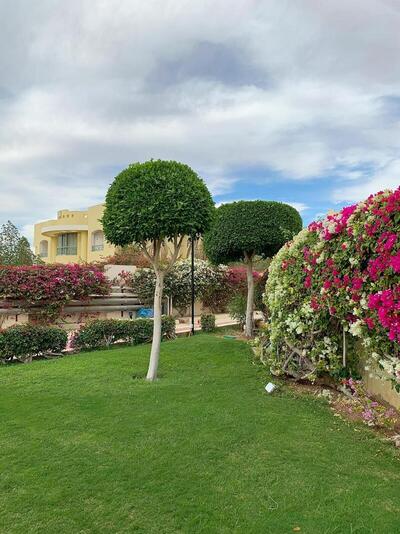 Grand Oasis Resort, , Египет