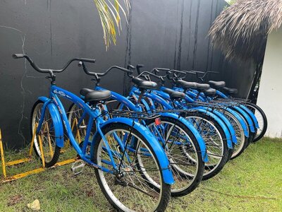 Grand Sirenis Punta Cana Resort & Aquagames, Пунта Кана, Доминикана