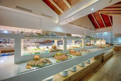 Grand Sirenis Punta Cana Resort & Aquagames, Пунта Кана, Доминикана