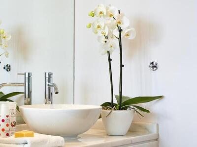 Grecotel Meli Palace - Double Room with Side Sea View