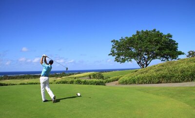 Heritage Le Telfair Golf & Wellness Resort, , Мавриций