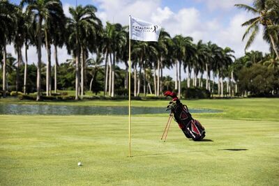 HOTEL CATALONIA BAVARO BEACH, GOLF & CASINO RESORT, , Доминикана