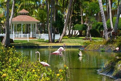 HOTEL CATALONIA BAVARO BEACH, GOLF & CASINO RESORT, , Доминикана