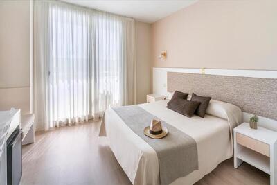 Hotel Indalo Park - Double Room for Single Use