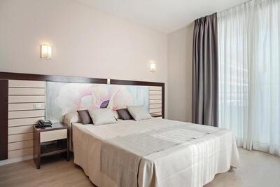 Hotel Indalo Park - Double Room for Single Use