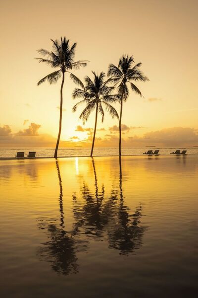Ifuru Island Resort Maldives, , Малдиви