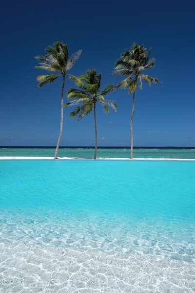 Ifuru Island Resort Maldives, , Малдиви