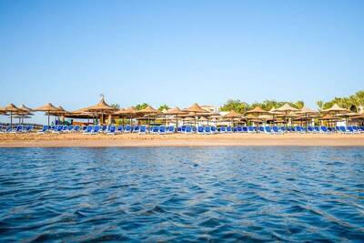 Ivy Cyrene Sharm Resort Adults Friendly Plus 13, , Египет