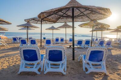 Ivy Cyrene Sharm Resort Adults Friendly Plus 13, , Египет