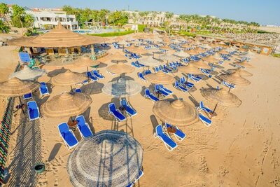 Ivy Cyrene Sharm Resort Adults Friendly Plus 13, , Египет