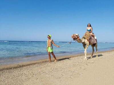 Lazuli Hotel Marsa Alam, , Египет