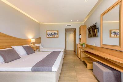 Lyttos Beach - Double Room with Garden View