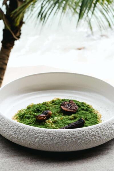 Mango House Seychelles, LXR Hotels & Resorts, , Сейшелски Острови