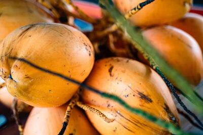 Mango House Seychelles, LXR Hotels & Resorts, , Сейшелски Острови