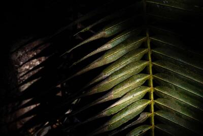 Mango House Seychelles, LXR Hotels & Resorts, , Сейшелски Острови