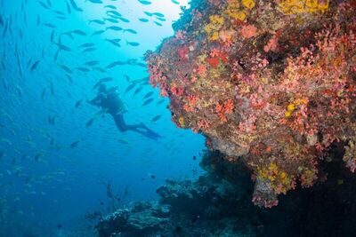 Milaidhoo Maldives, , Малдиви