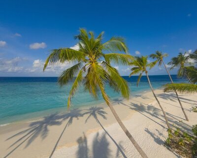 Milaidhoo Maldives, , Малдиви