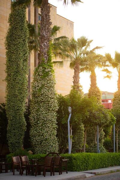 Mukarnas Spa & Resort Hotel, , Турция