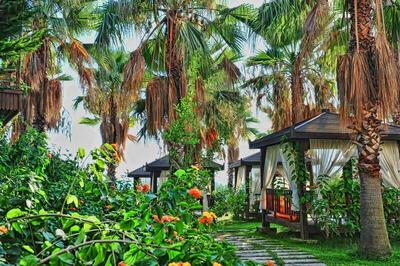Mukarnas Spa & Resort Hotel, , Турция