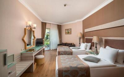 Mukarnas Spa & Resort Hotel - Standard Room with Land View