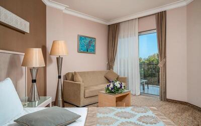 Mukarnas Spa & Resort Hotel - Standard Room with Land View