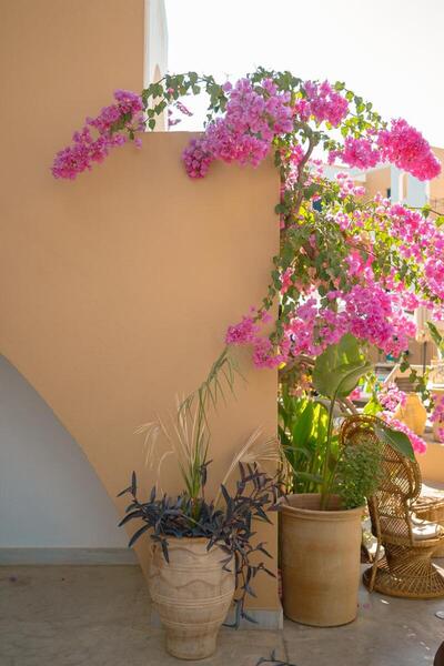 Nami Hotel & Suites, Ираклион, Гърция