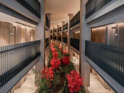 NG Phaselis Bay, Кемер, Турция