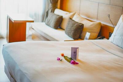 Novotel Phuket Kata Avista Resort and Spa - Deluxe King Room With Balcony And Sea View