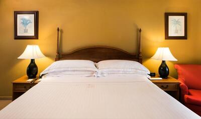 Occidental Caribe - Standard Double Room
