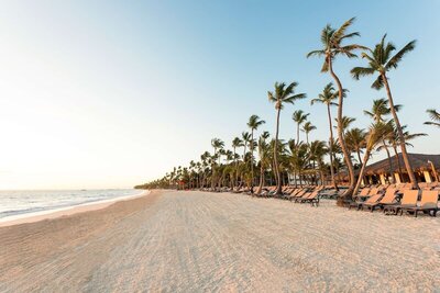 Occidental Punta Cana, Пунта Кана, Доминикана