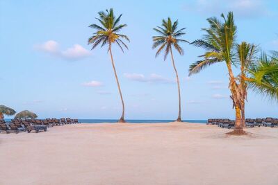 Ocean El Faro Resort, Пунта Кана, Доминикана