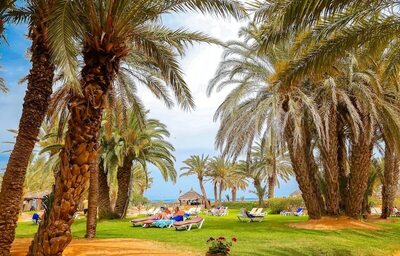 Odyssee Resort and Thalasso, , Тунис