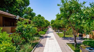 Ozlem Garden Hotel - Standard Bungalow