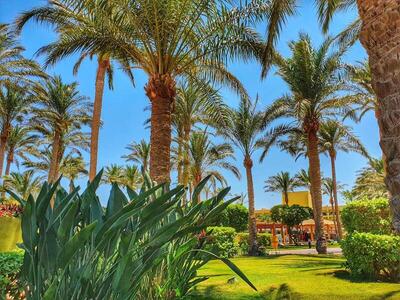 Palm Beach Resort Families and Couples only, Хургада, Египет