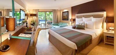 Paloma Pasha - Standard Room With Pool Access - Adult Only