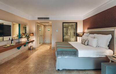 Paloma Pasha - Standard Room With Pool Access - Adult Only