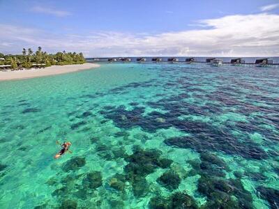 Park Hyatt Maldives Hadahaa, , Малдиви