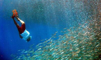 Park Hyatt Maldives Hadahaa, , Малдиви