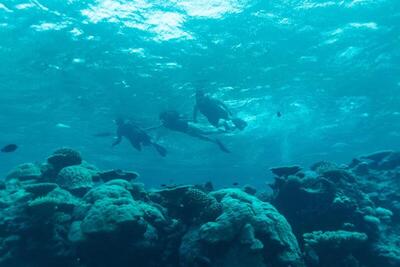 Park Hyatt Maldives Hadahaa, , Малдиви