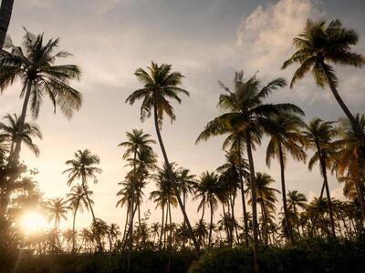 Patina Maldives, Fari Islands, Северен Мале Атол, Малдиви