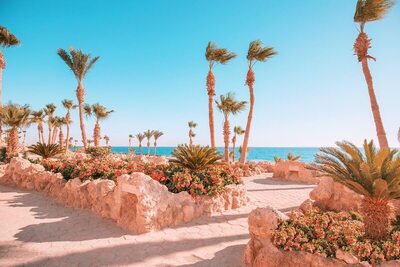 Pickalbatros Citadel Resort Sahl Hasheesh, , Египет