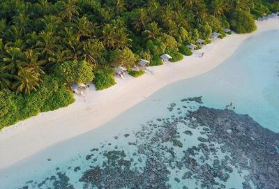 Plumeria Maldives, , Малдиви