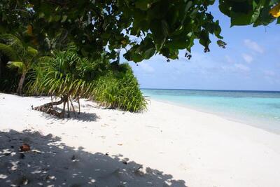 Plumeria Maldives, , Малдиви